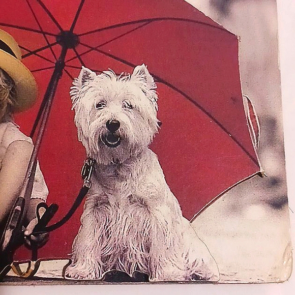 Kim Anderson Vtg "Friendship is a Gift to Share" Magnet ☂️👩‍🌾🐕☂️🐕☂️🐕☂️👩‍🌾 - Picture 5 of 7